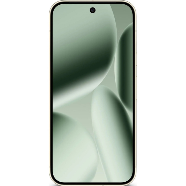 Смартфон Google Pixel 10 Pro зеленый 2